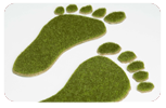 picture of Green footprints