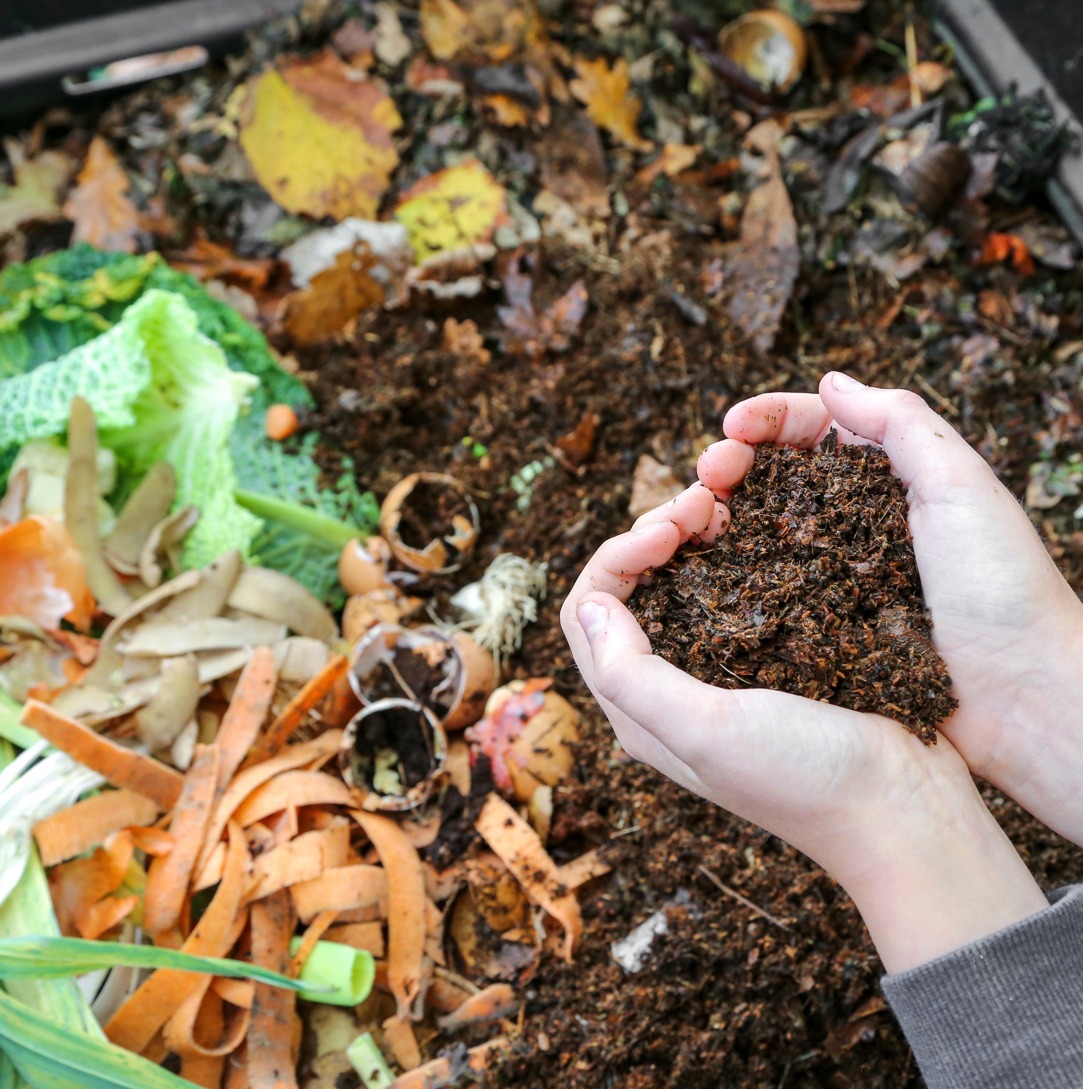 CENTER DRIVE 2015.JPG