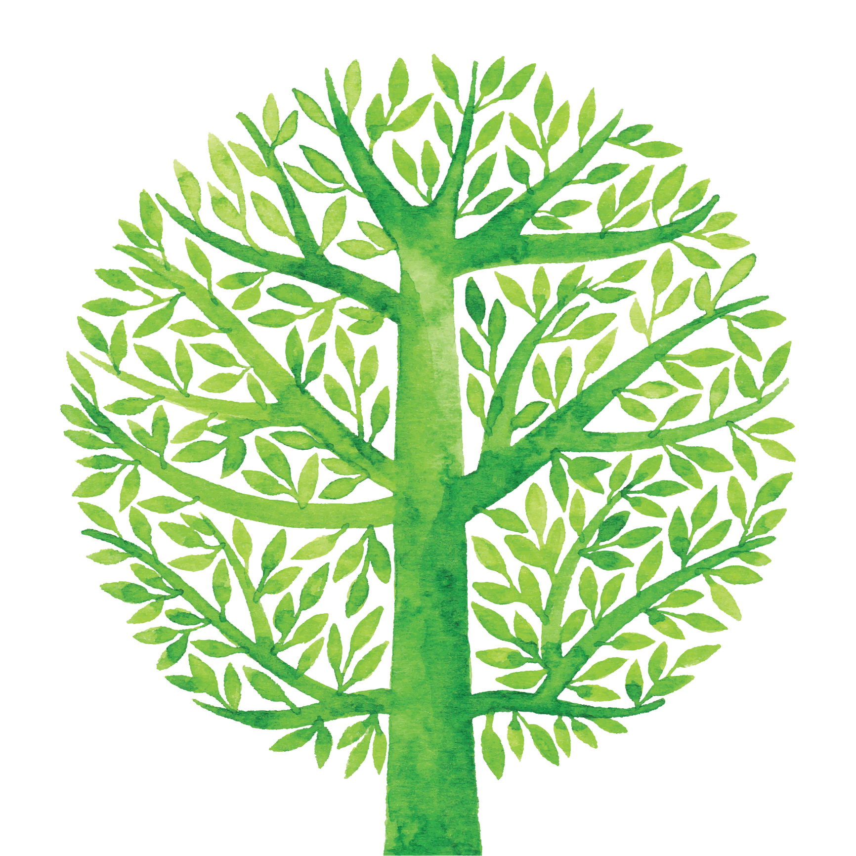Tree 4.jpg