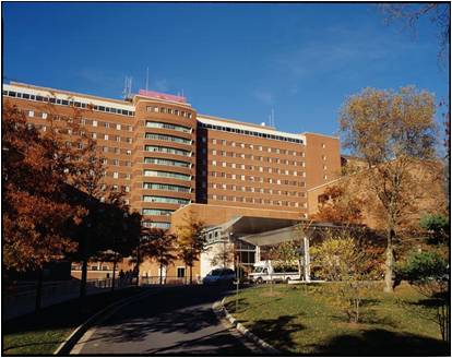 Fig. 13- Building 10.jpg
