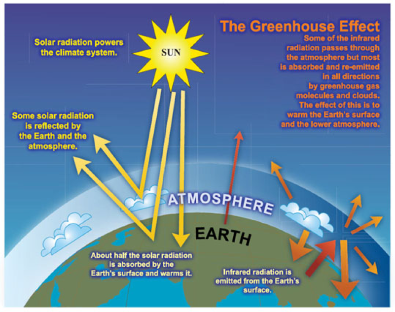 The greenhouse effect is a result of weegy