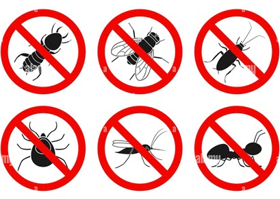 Bugs Crossed Out