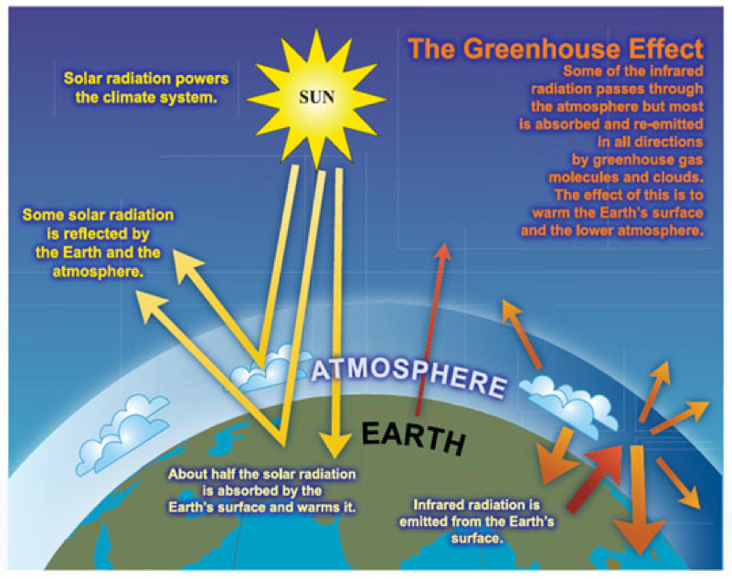 Greenhouse Effect Process